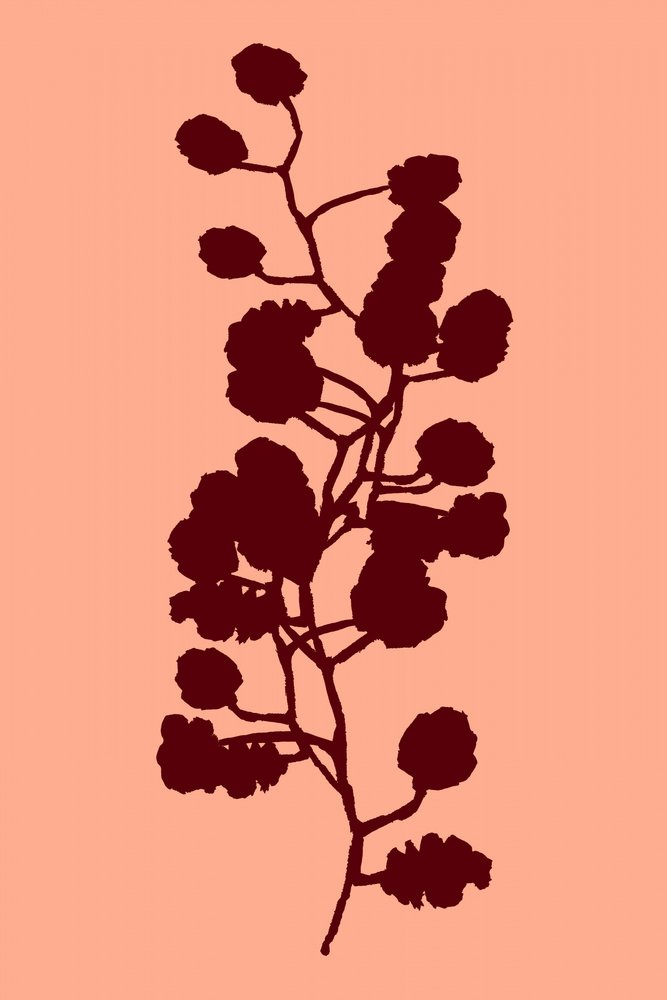 Peach Botanical Silhouette by cartissi