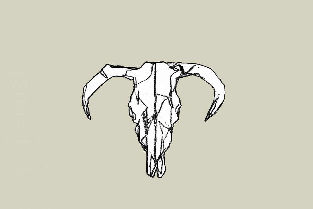 Rustic Bull Skull by cartissi
