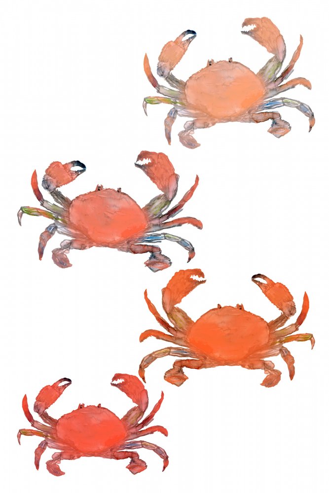 Seafood Crabs Watercolor by cartissi