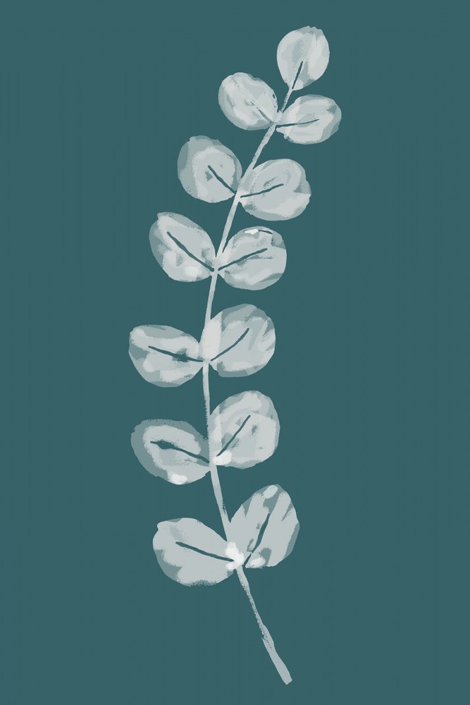 Soft Eucalyptus Leaves by cartissi