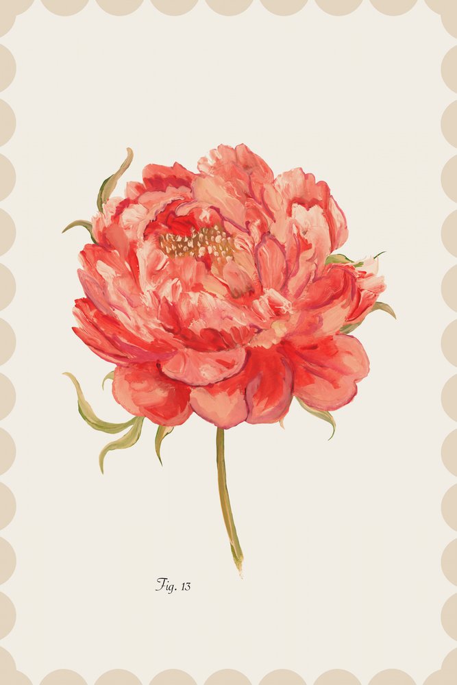 Vibrant Coral Peony by cartissi