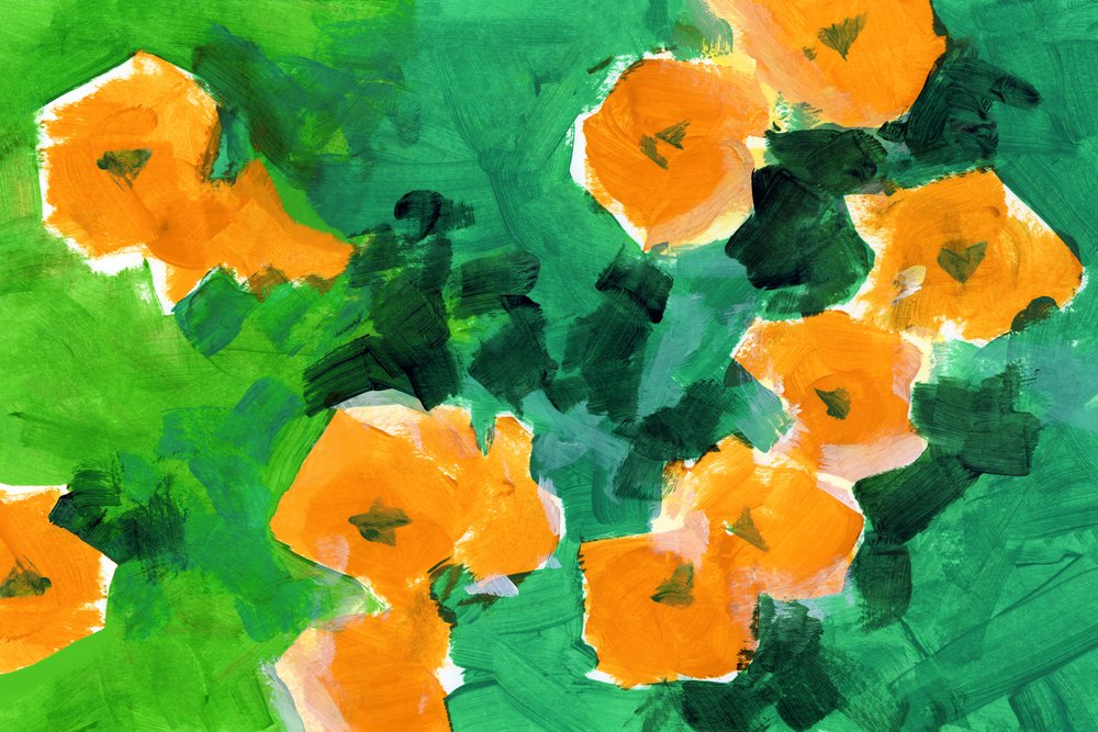 Vibrant Orange Blossoms by cartissi