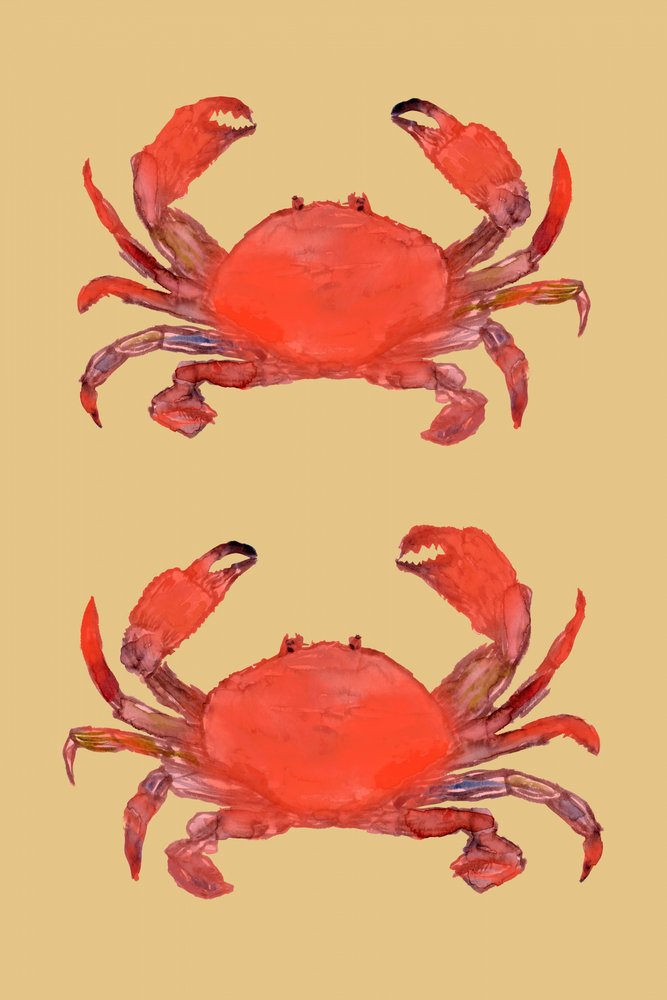 Vibrant Red Crabs by cartissi