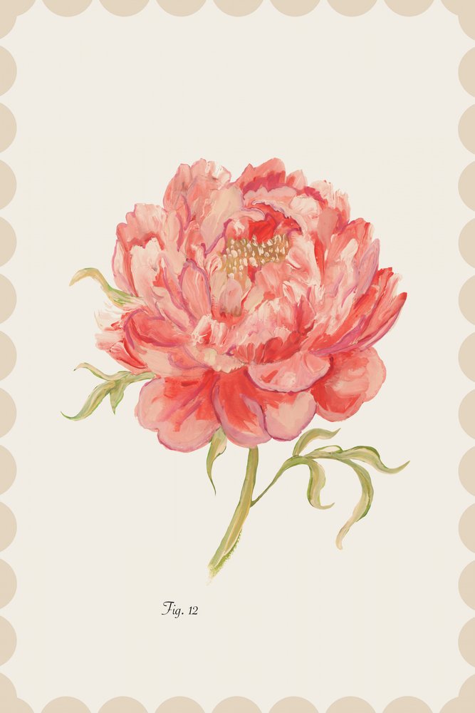 Vintage Pink Peony by cartissi