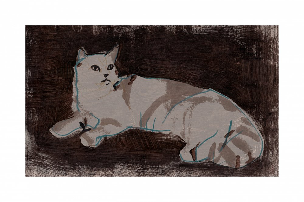 White Cat Resting by cartissi
