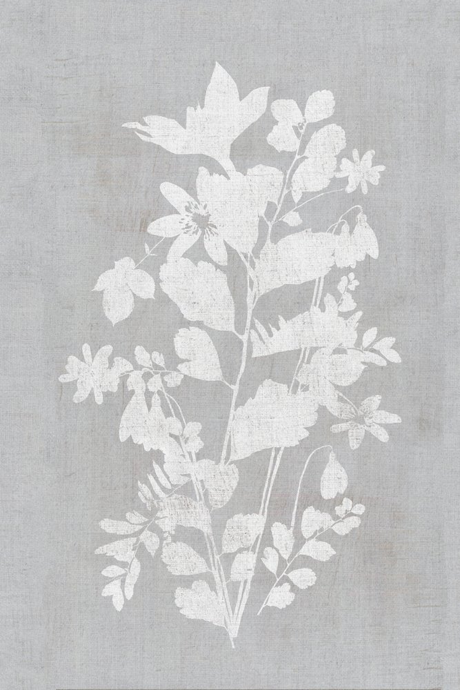 White Floral Silhouette by cartissi