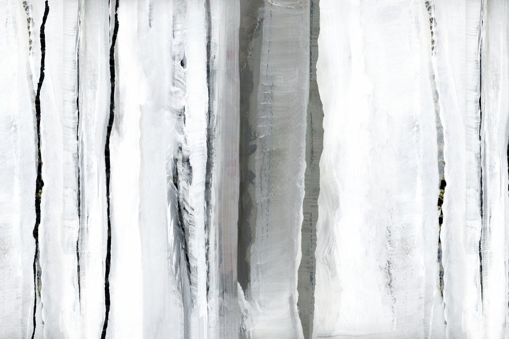 White Forest Abstraction by cartissi