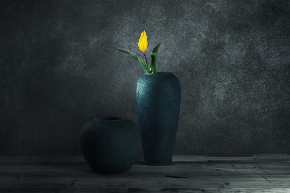 Yellow Tulip Still Life by chenyi wang