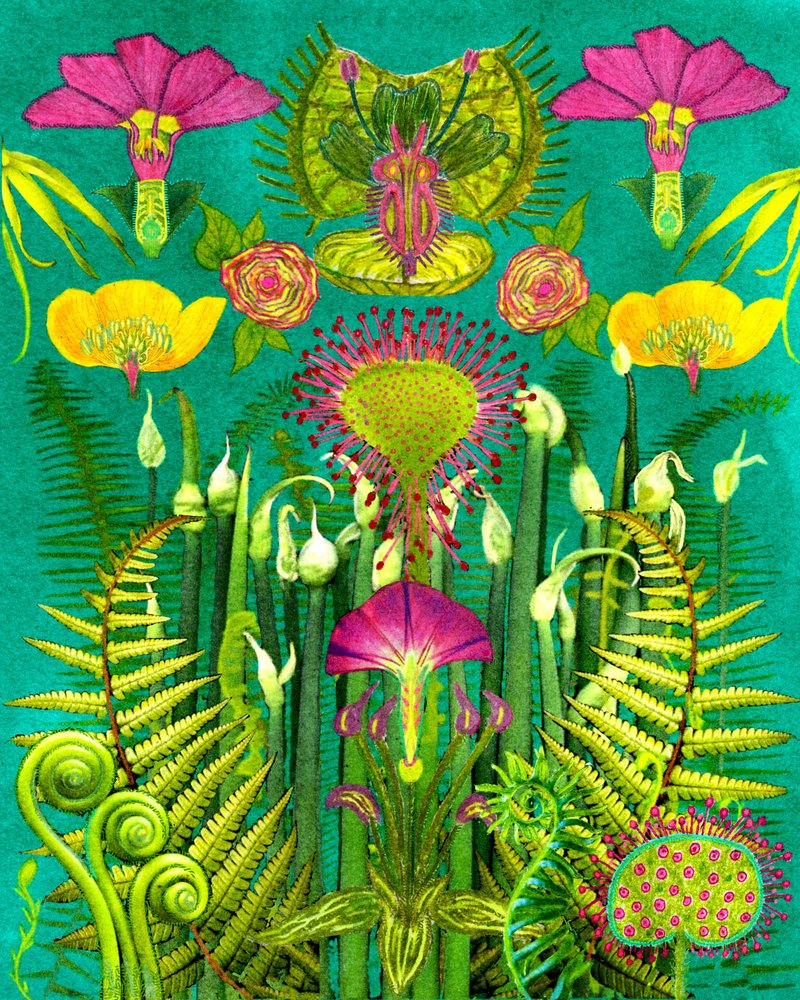 Fantasy Carnivorous Garden by giovanna nicolo