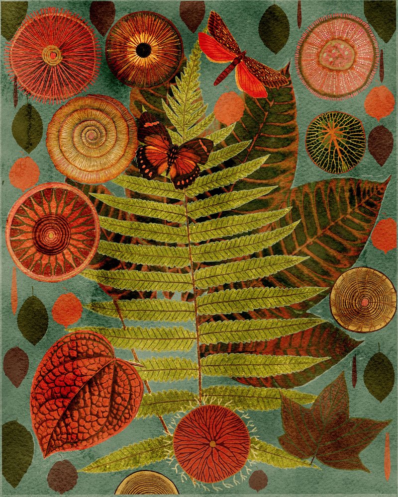 Forest Fern and Butterfly by giovanna nicolo