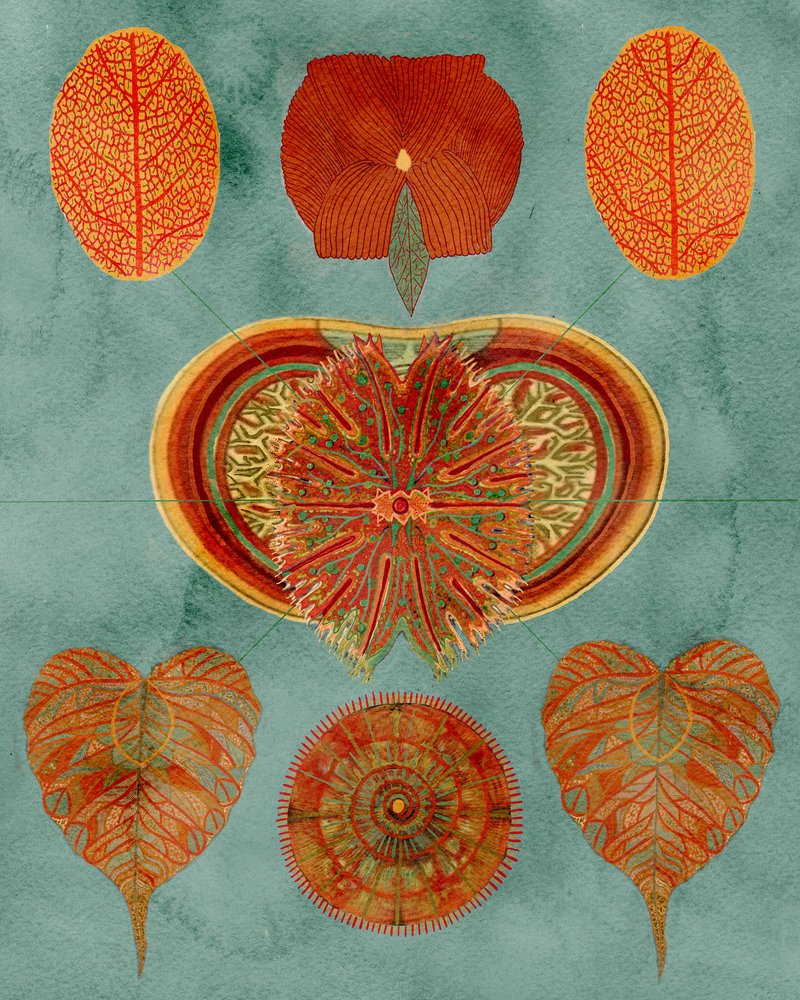 Intricate Botanical Arrangement by giovanna nicolo