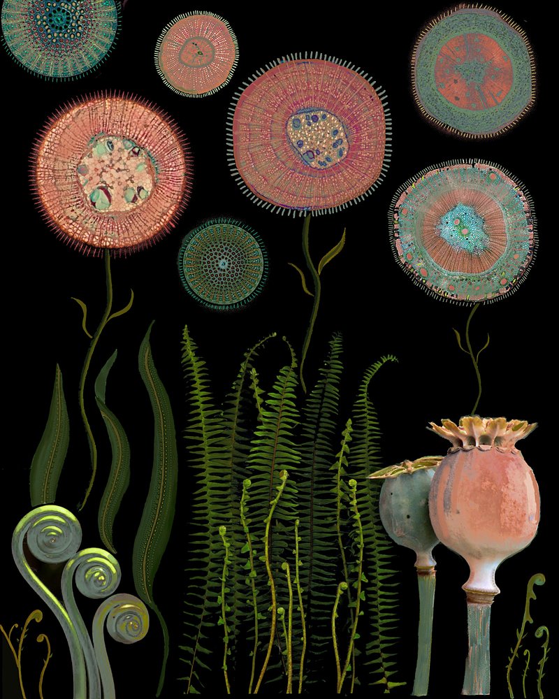 Microscopic Flower Garden by giovanna nicolo