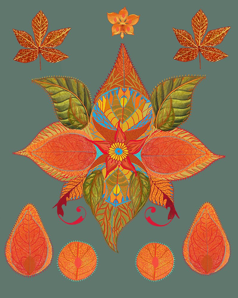 Vibrant Autumn Botanicals by giovanna nicolo