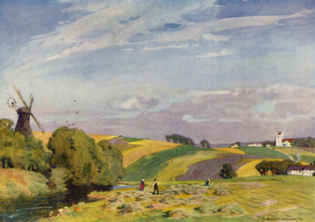 Denmark A Typical Danish Landscape, South Jutland (colour litho)