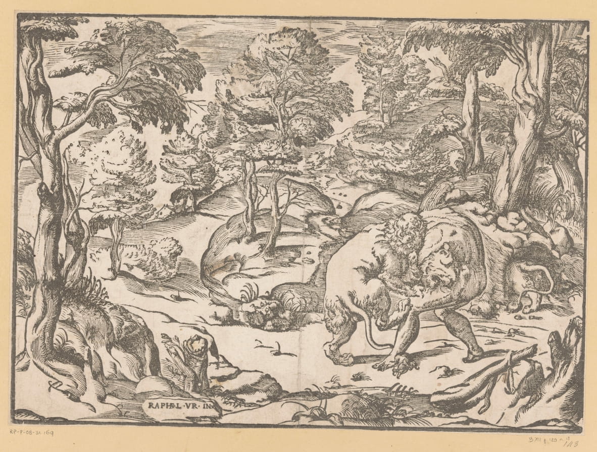 Hercules and the Nemean Lion by Anonymous: Fine art print