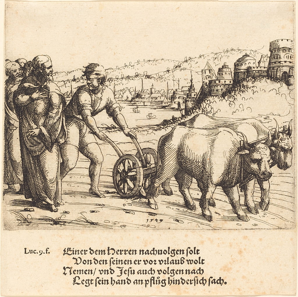 My Image 41