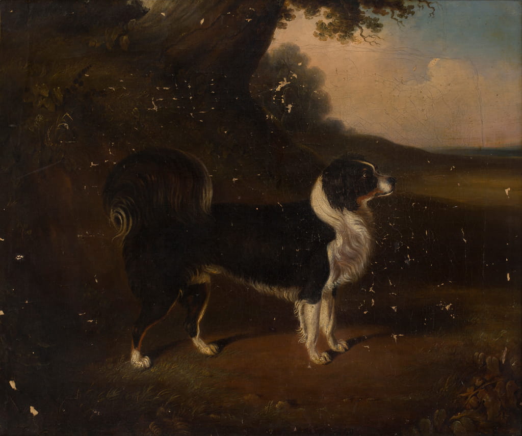 Portrait of a Dog oil on canvas by British School