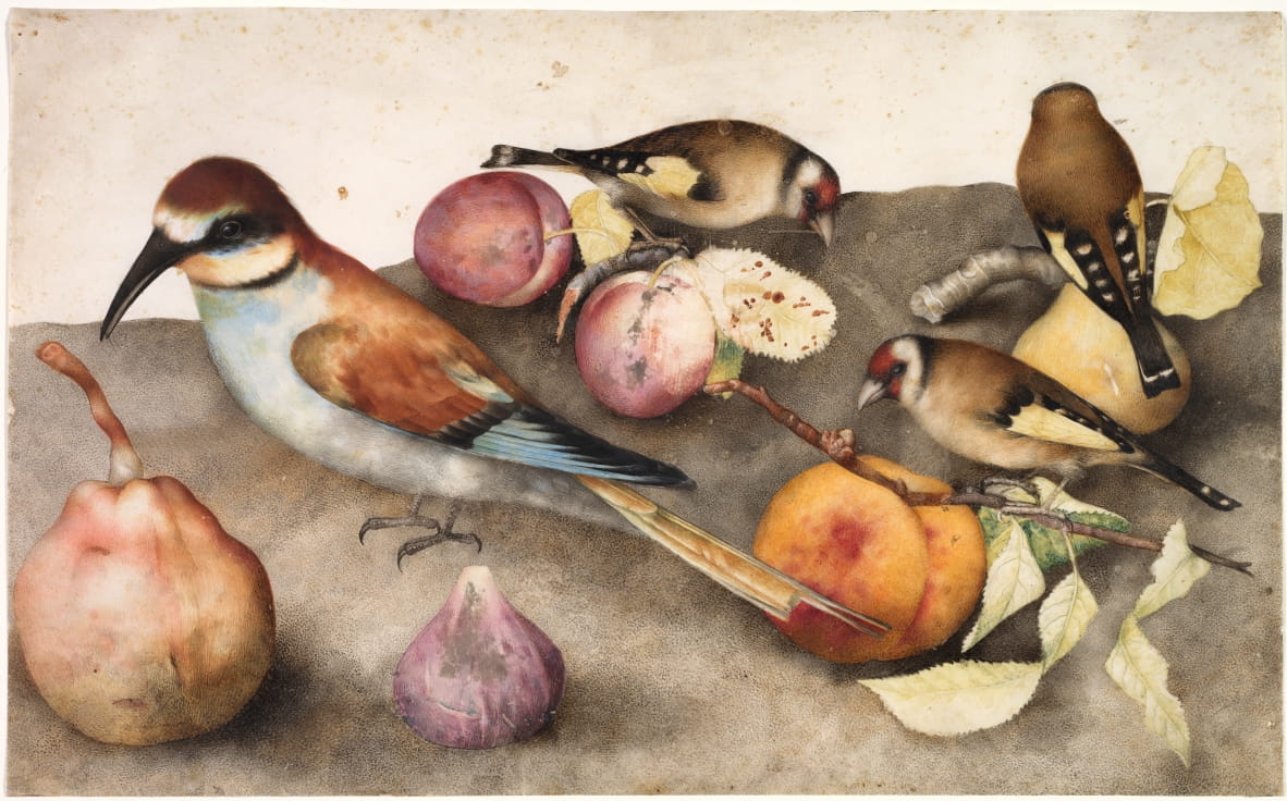 Still Life with Birds and Fruit by Giovanna Garzoni