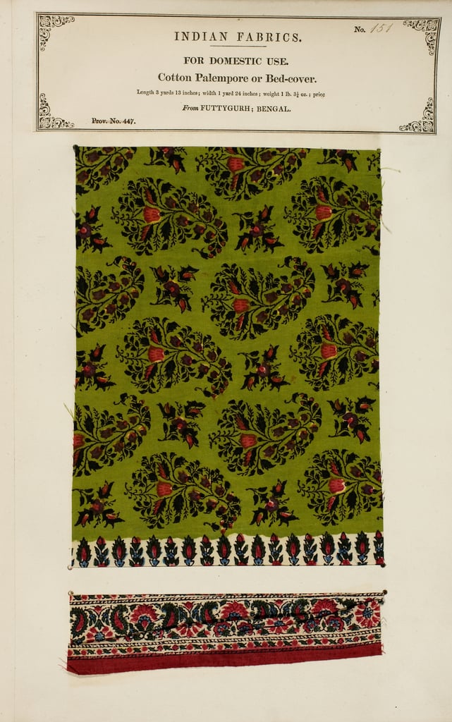 Palempor top