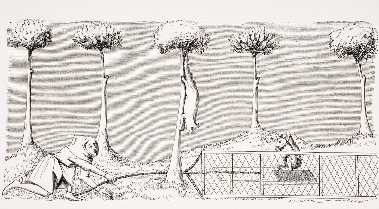 The Way to Catch Squirrels on the Ground in the Woods by French School