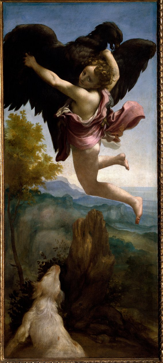 The Abduction of Ganymede by (c.1489-1534) Correggio
