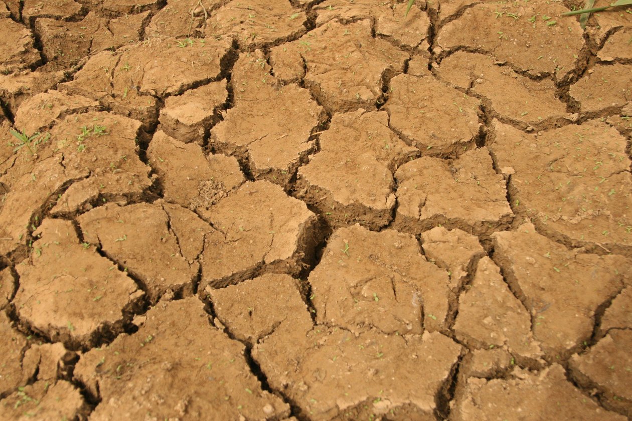 Cracked Soil on a Crop Field During the Dry Season, Lagos, Nigeria by Unknown