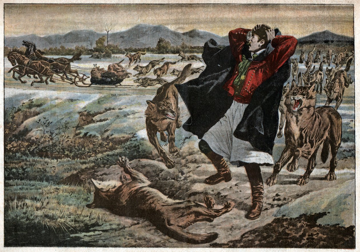 Wolves in Transylvania by Unknown