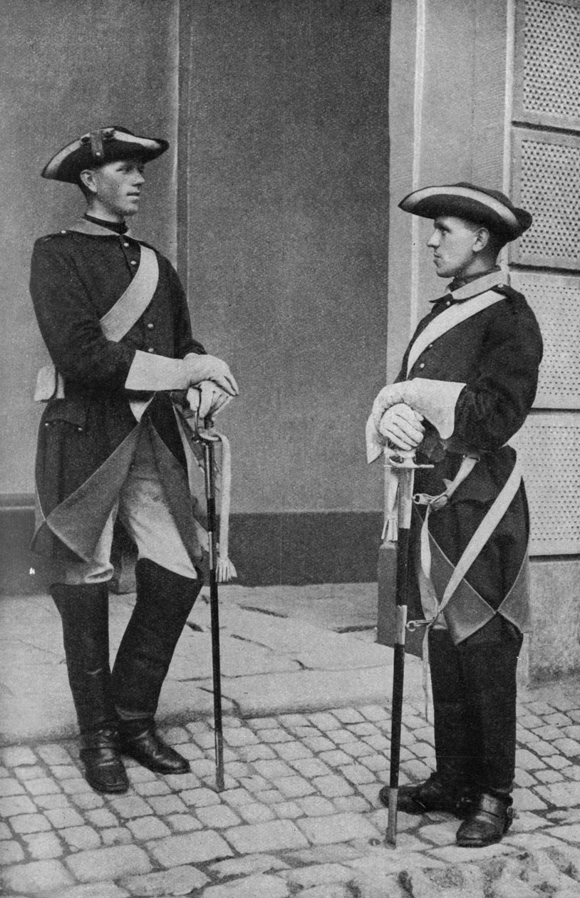 Stalwart Swedish guardians of the king