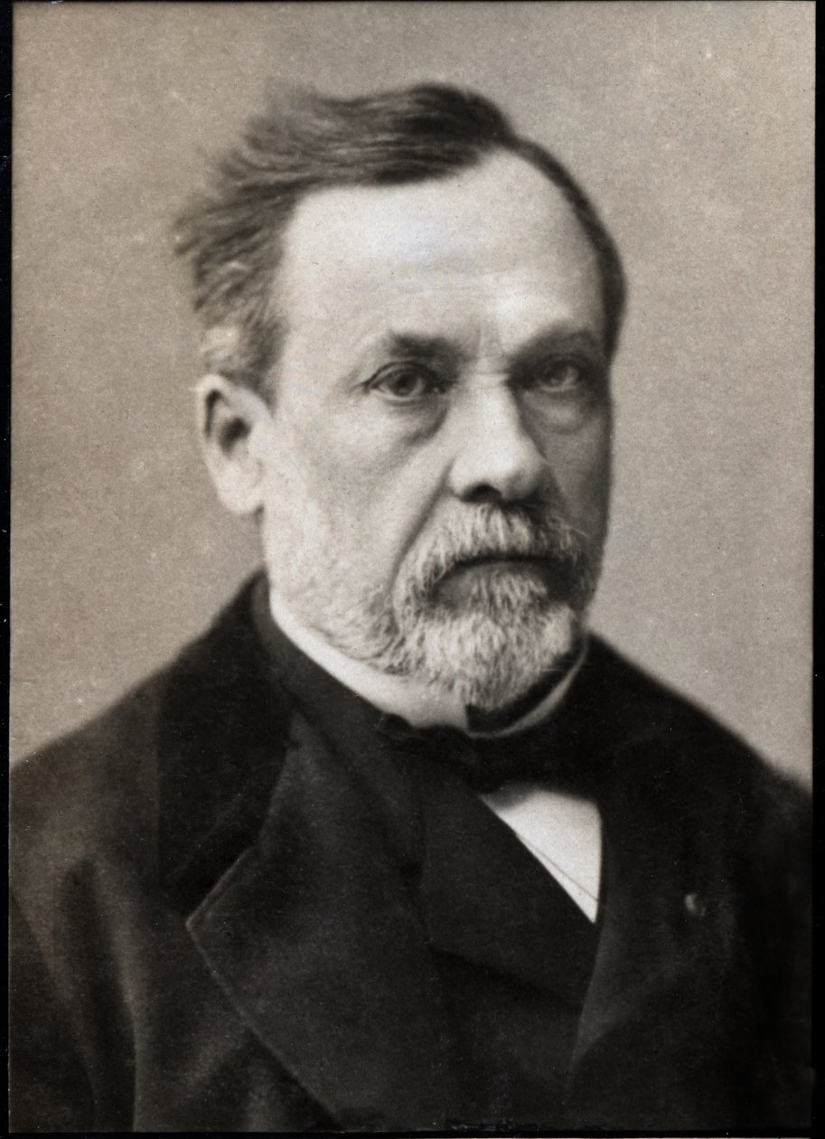 Portrait of Louis Pasteur by French Photographer
