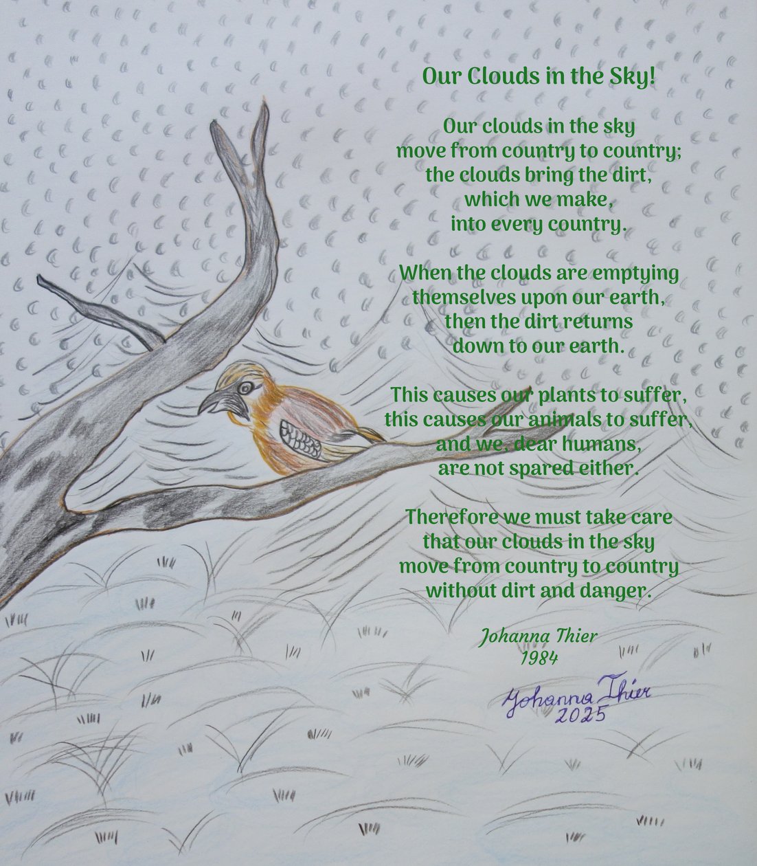 Our Clouds in the Sky! by Johanna Thier