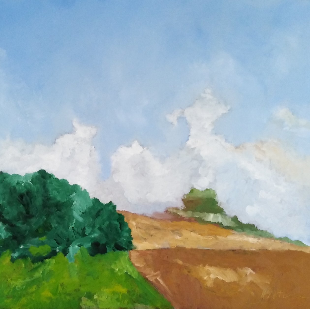 Dietro gli alberi by M. Vet
