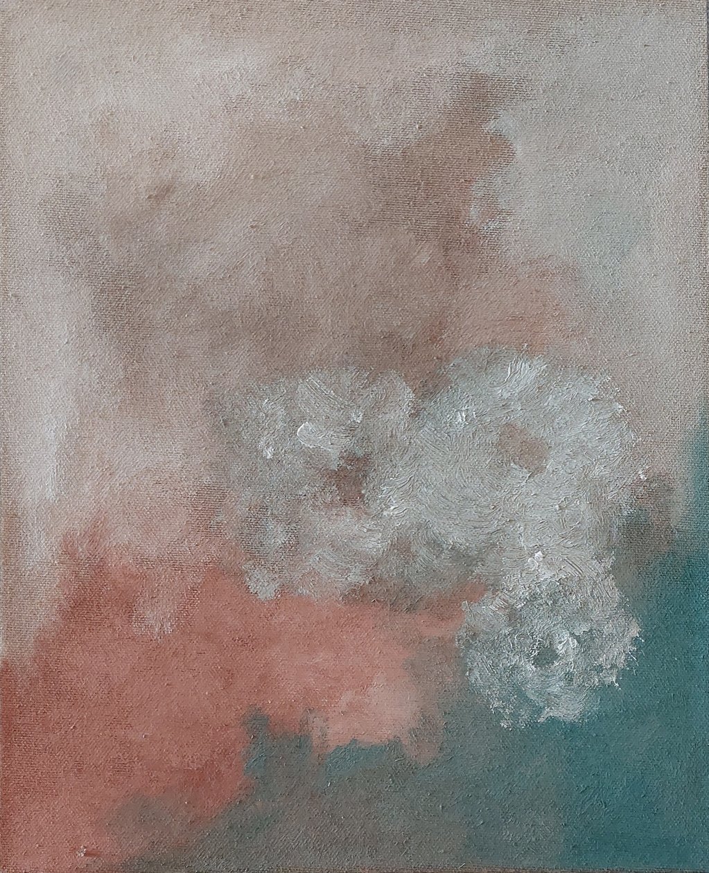 Bianche rose by M. Vet