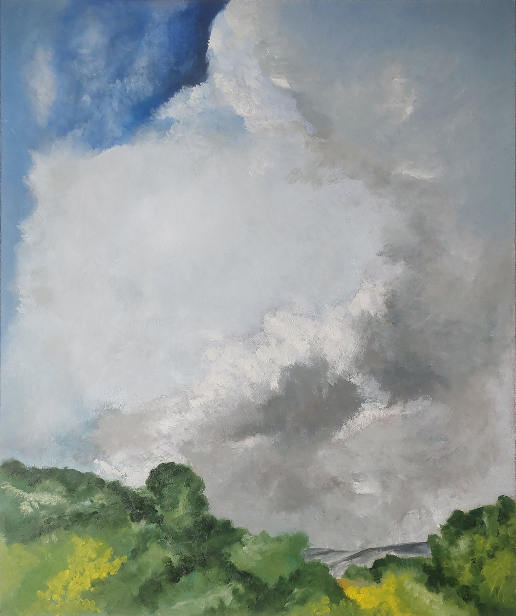 Landscape with Swirling Clouds by M. Vet