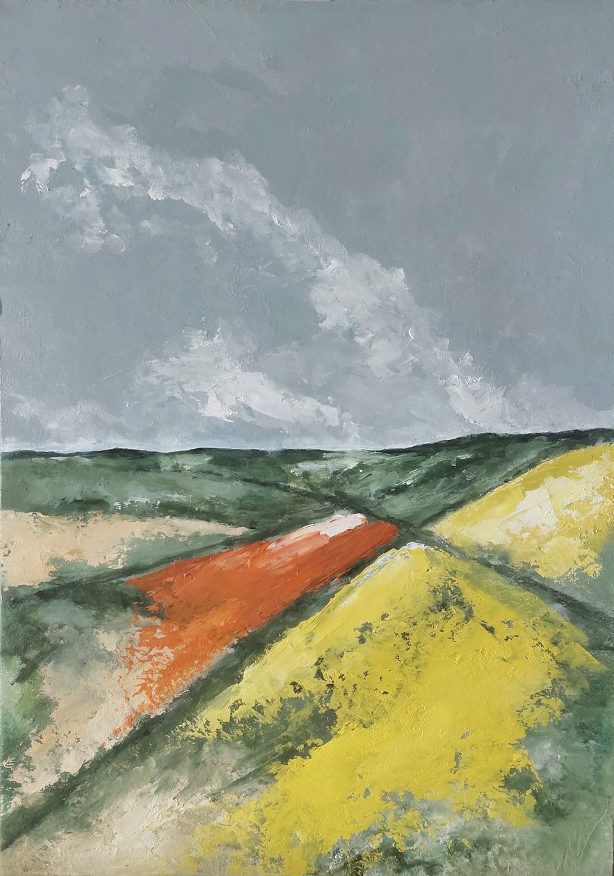 Hügel und Blumenfelder von M. Vet