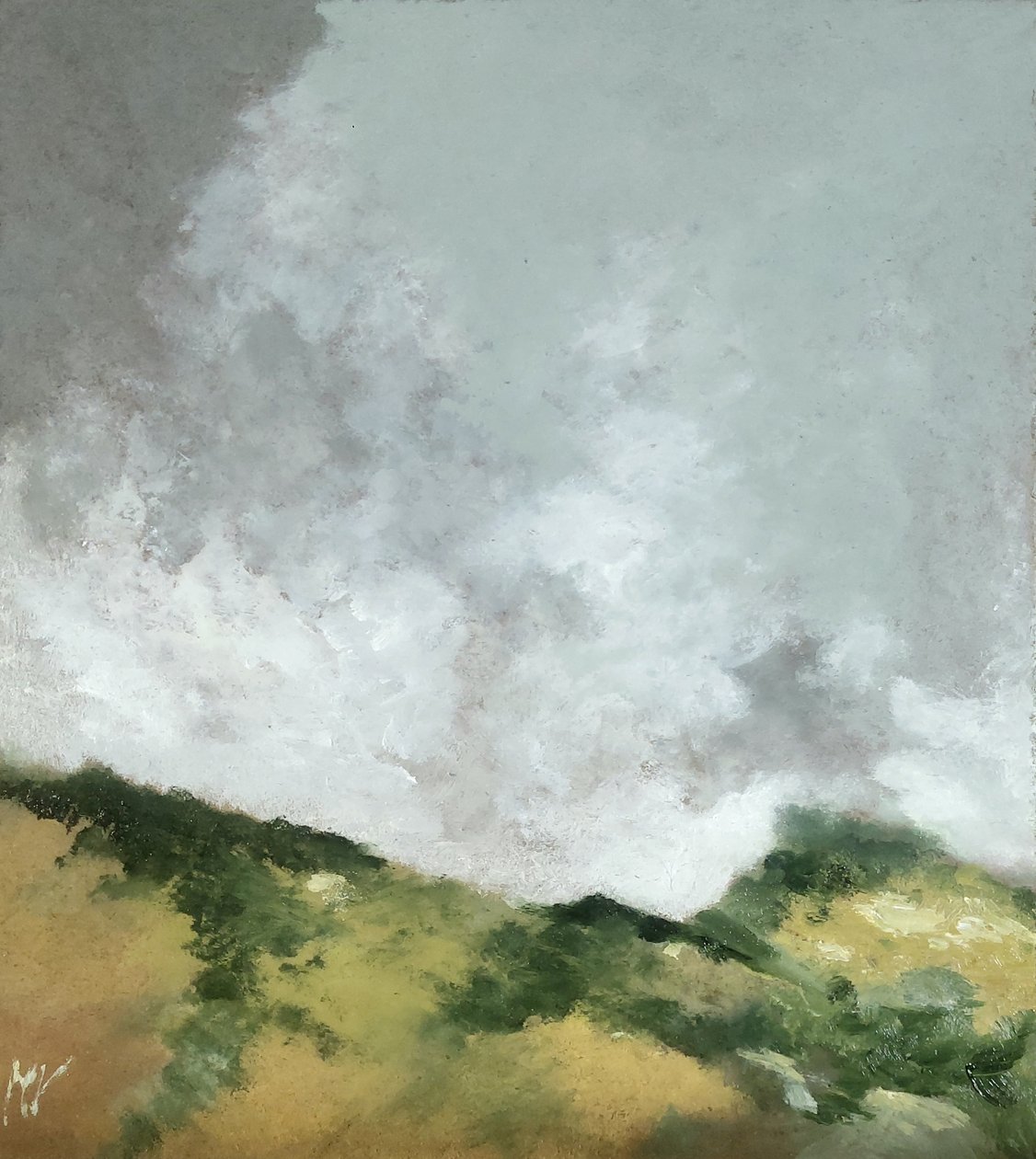 Brooms on the Hills by M. Vet