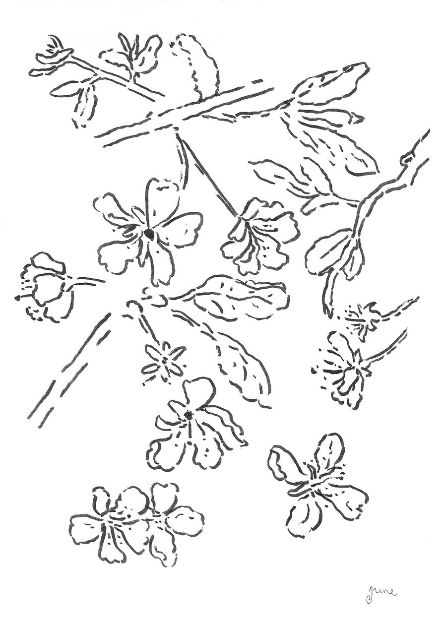 Blossom Ink Study by june art