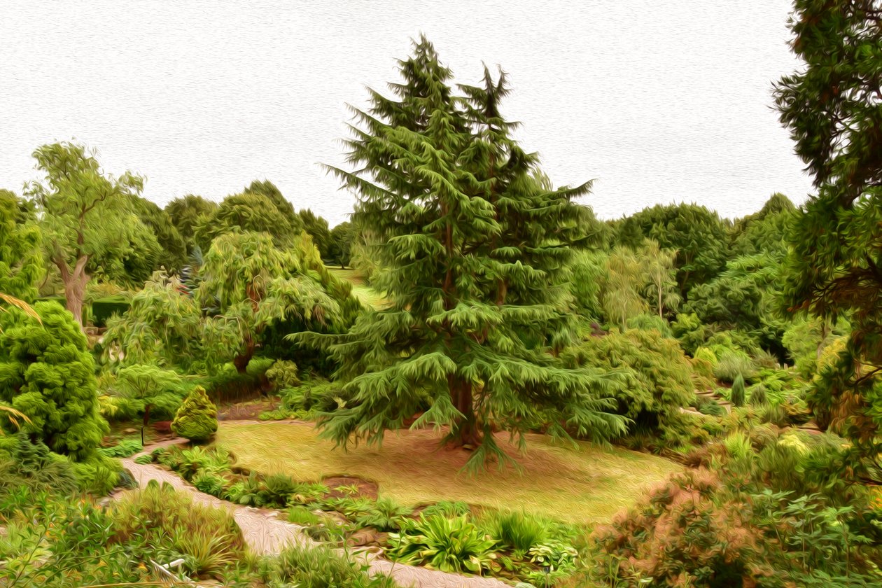 Nature Landscape by Albert Mansour