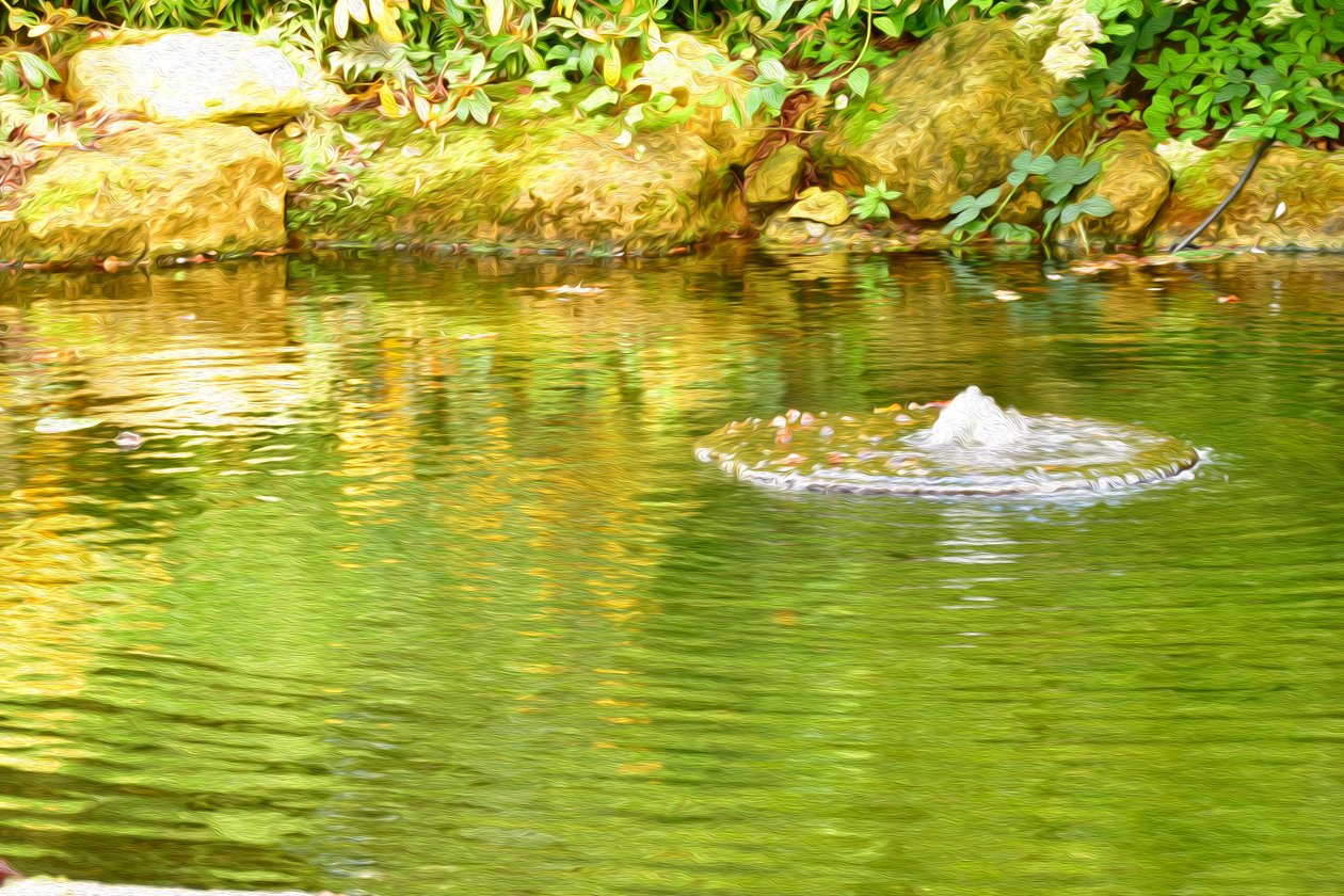 Water Reflection by Albert Mansour