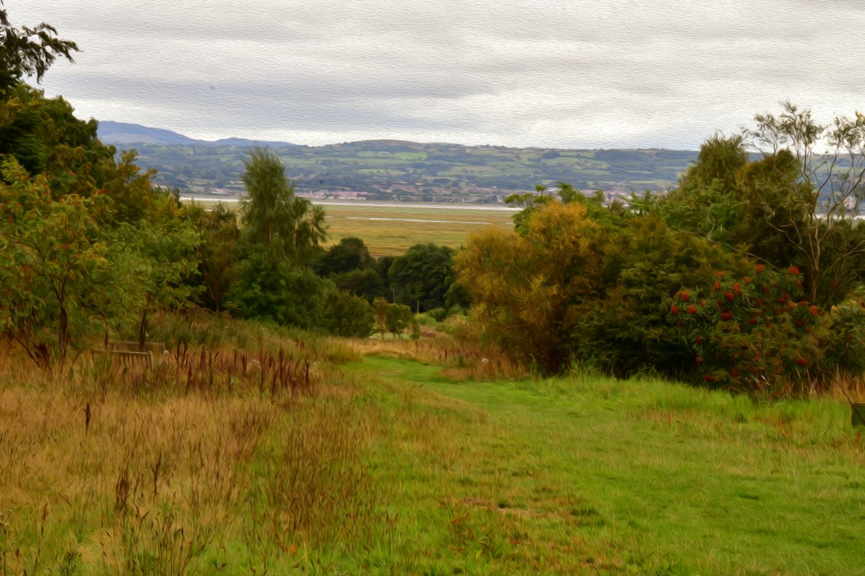Nature Landscape by Albert Mansour