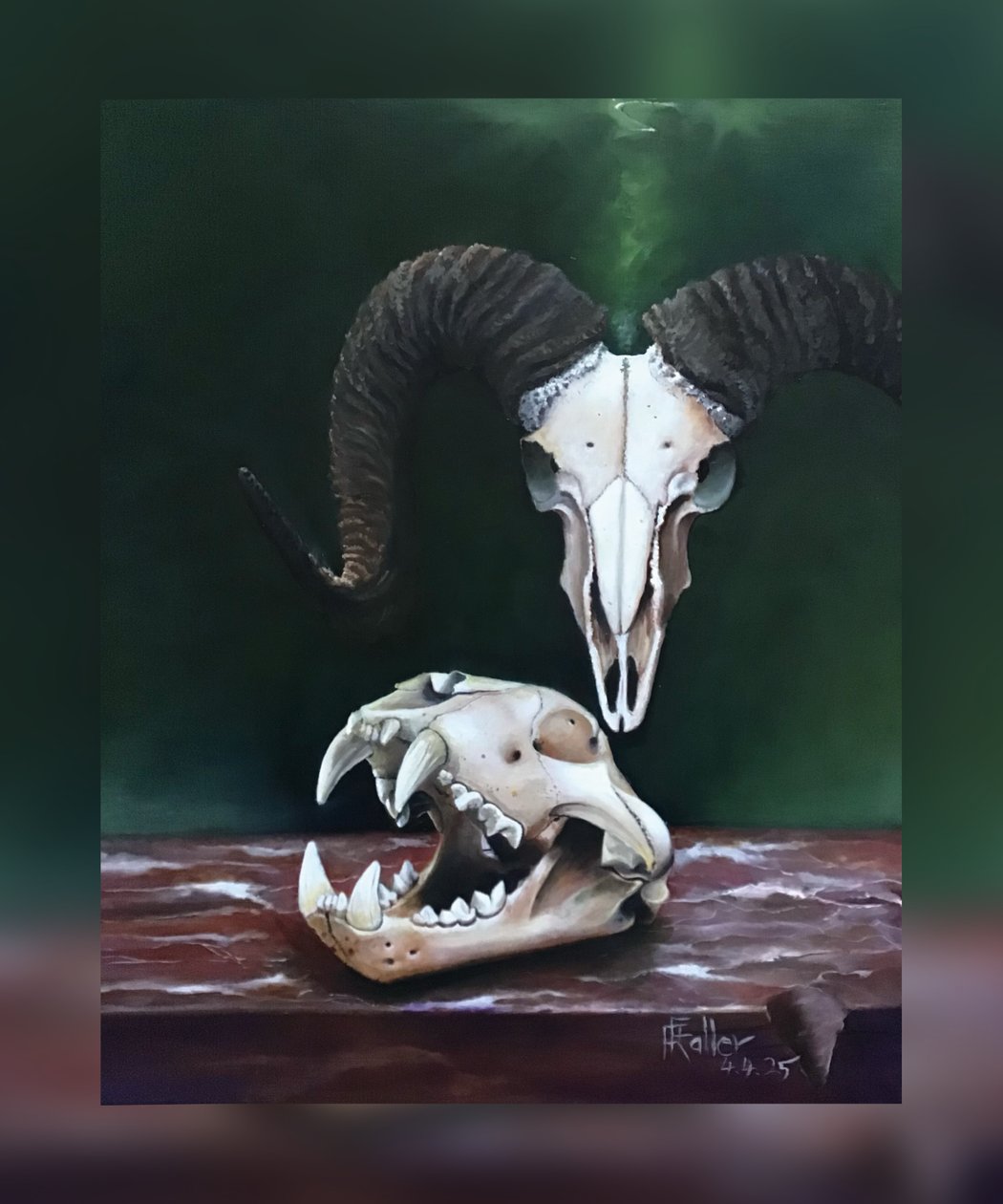 Memento Mori (Study of Animal Skulls) by Faller Rüdiger - Tician