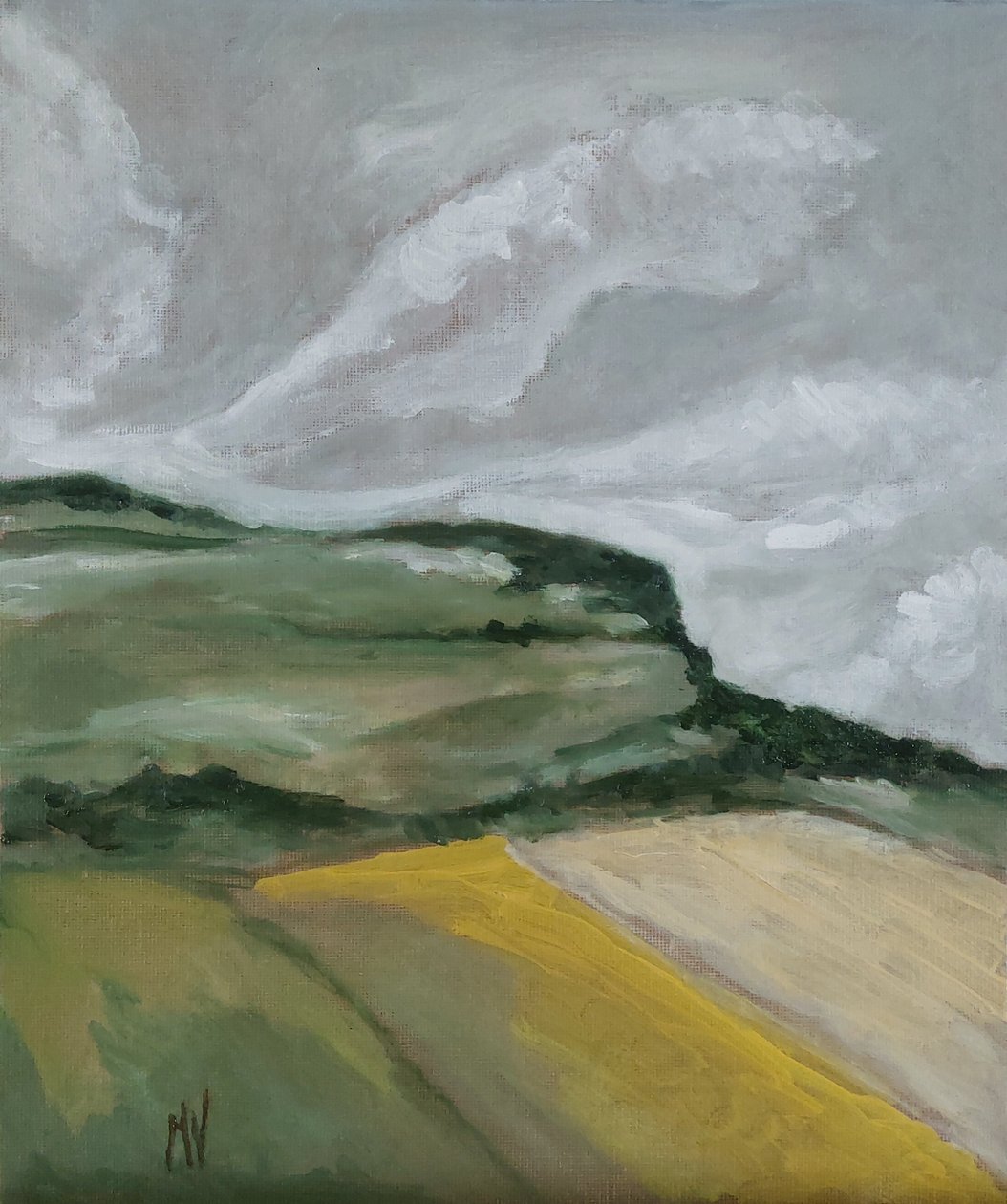 Fields in the Hills by M. Vet