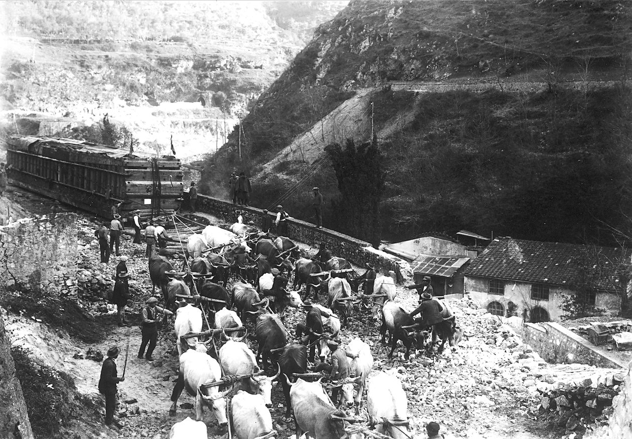 Numerous oxen transport an enormous convoy containing marble, just brought down to the valley from an Apuan quarry by A. Corsini