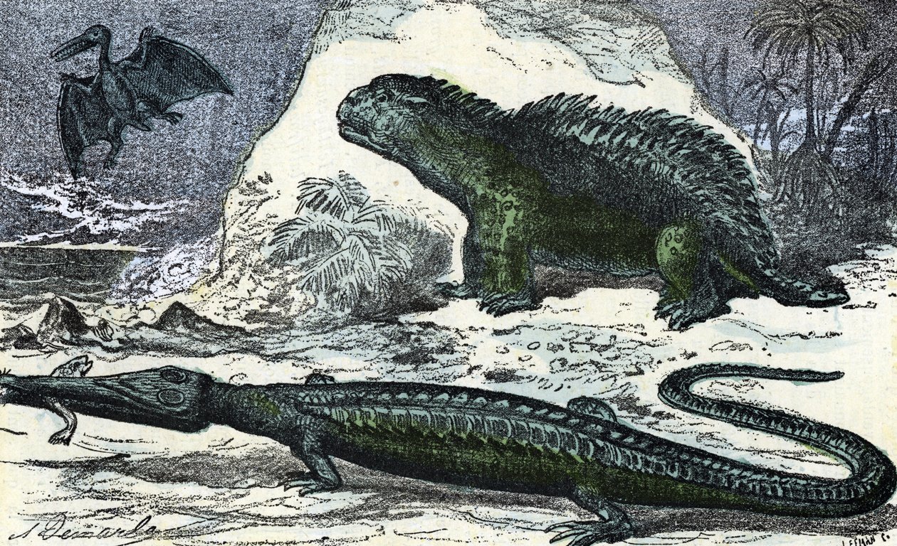 Prehistory: representation of a teleosaur and a hyleosaur from the Jurassic period. Engraving from Nature and Man by Rengade 1881 by A. Demarle
