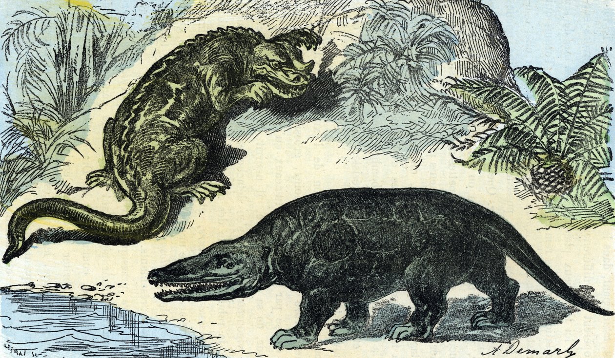 Prehistory: representation of an iguanodon and megalosaur from the Cretaceous period by A. Demarle