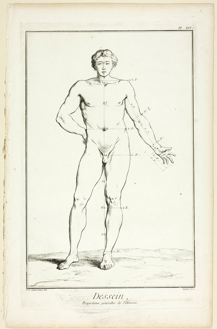 Design: General Proportions of the Male, from Encyclopédie by A. J. Defehrt