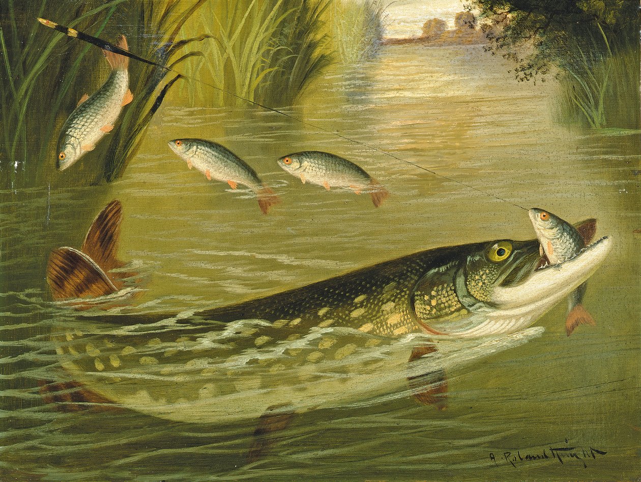 The Four That Got Away! by A. Roland Knight