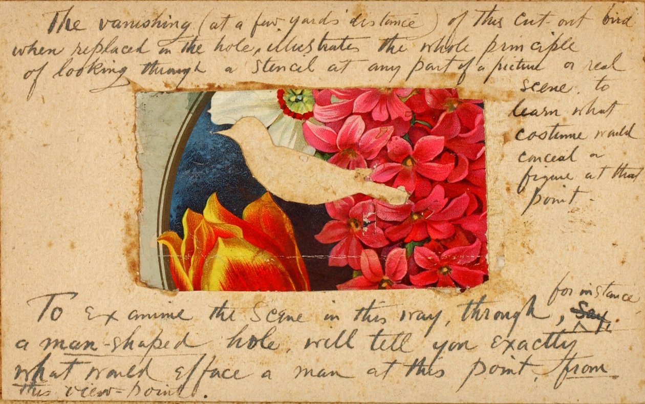 Bird Stencil, study folder for book Concealing Coloration in the Animal Kingdom by Abbott Handerson Thayer