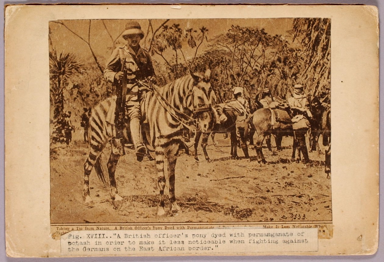 Horse and Cruiser Camouflaged, study folder for book Concealing Coloration in the Animal Kingdom by Abbott Handerson Thayer