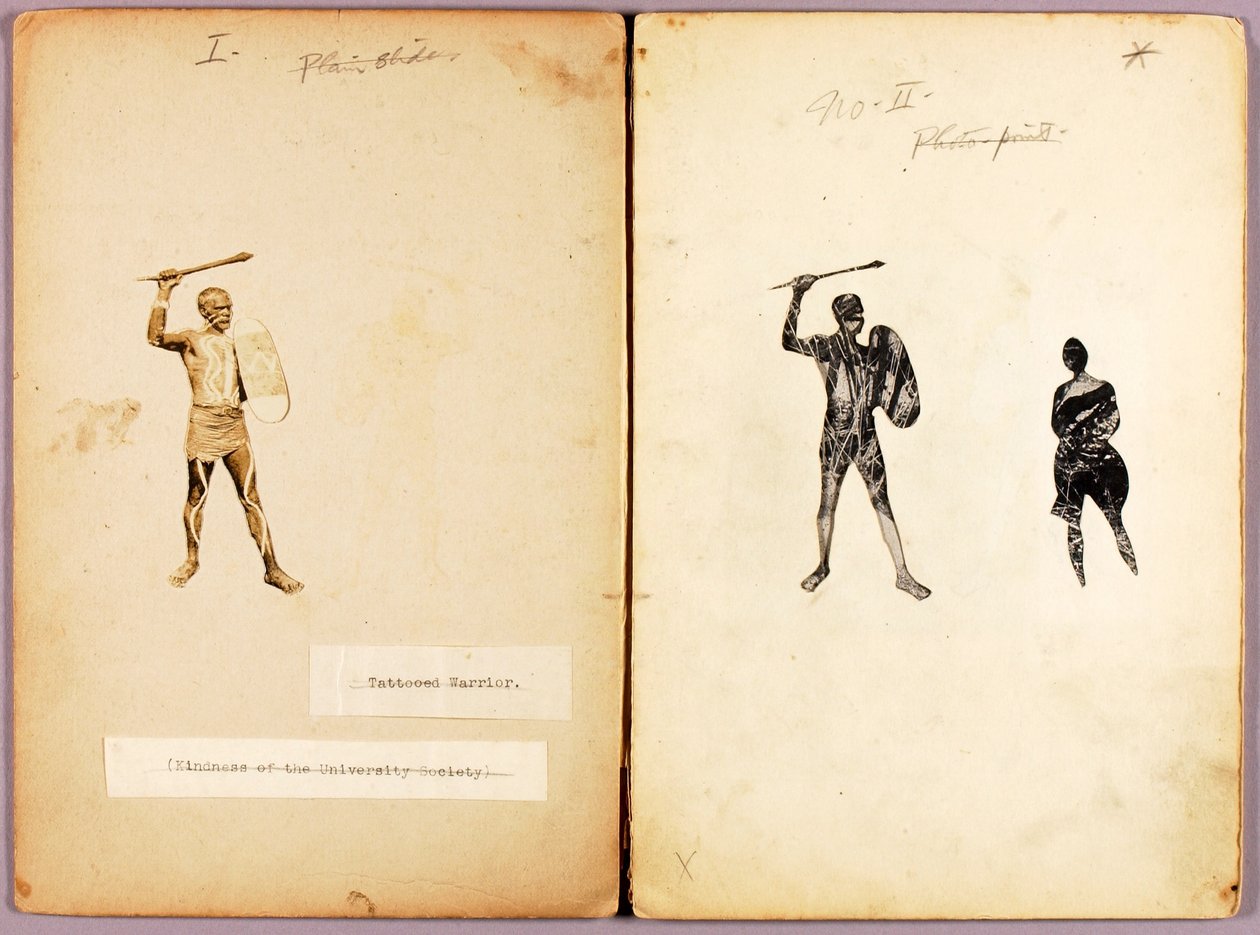 Tattooing--Single Warrior, Study Folder for Book Concealing Coloration in the Animal Kingdom by Abbott Handerson Thayer