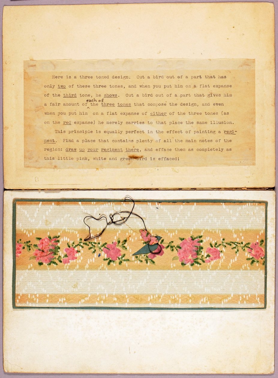Three-Toned Bird Design, Study Folder for Book Concealing Coloration in the Animal Kingdom by Abbott Handerson Thayer